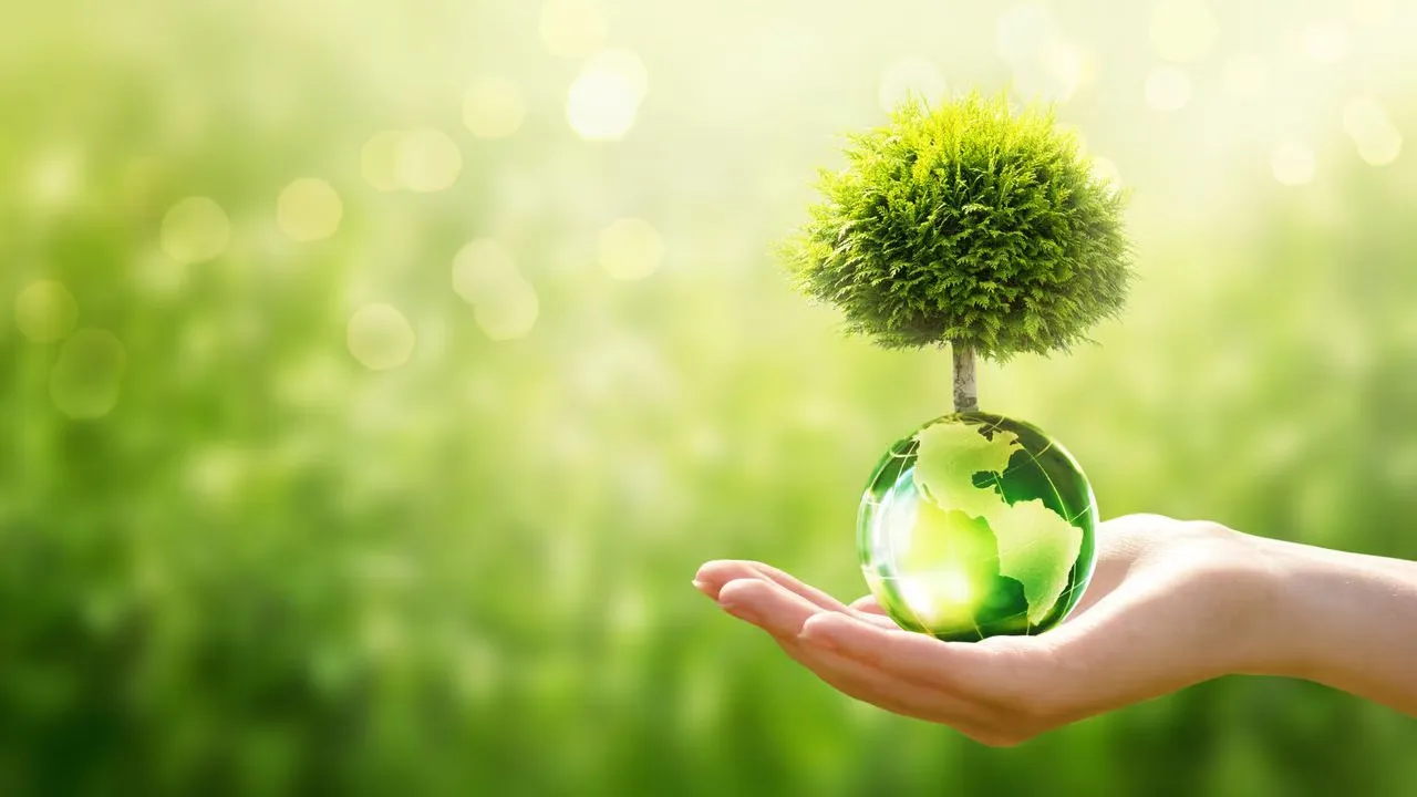Circular Economy: Sustainability Through Remanufacturing