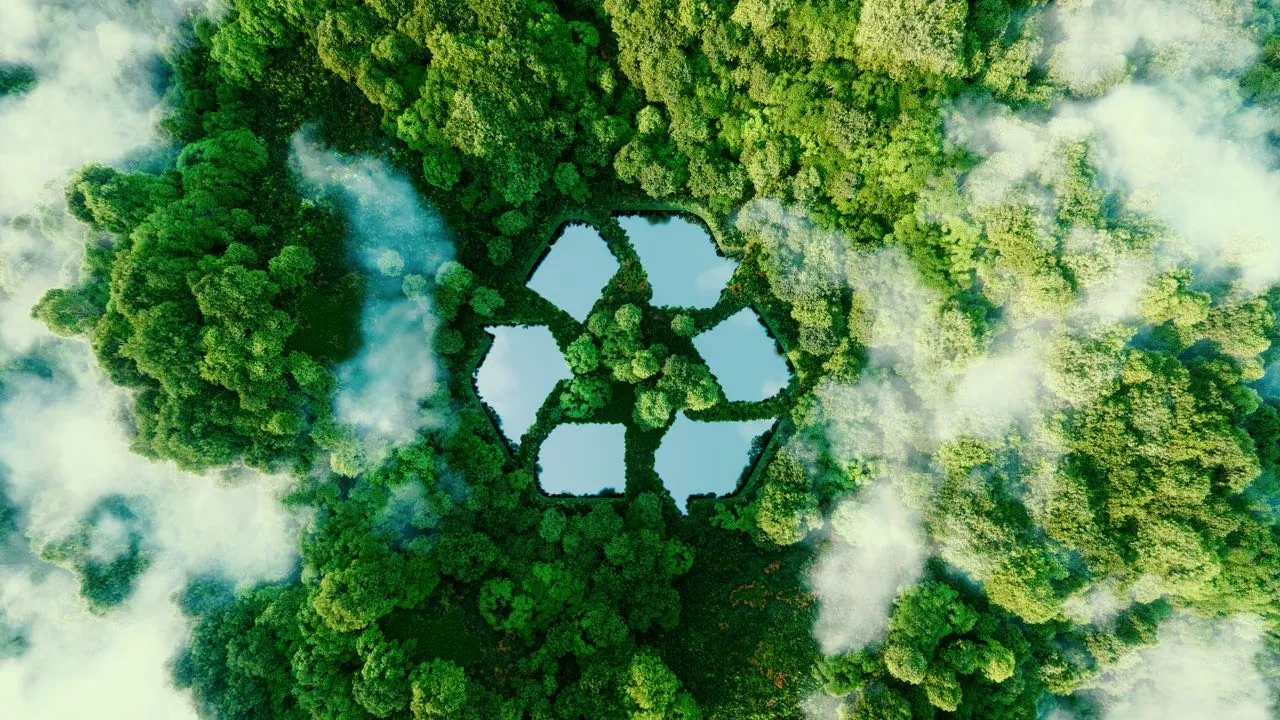 Green Packaging Solutions for a Sustainable Future