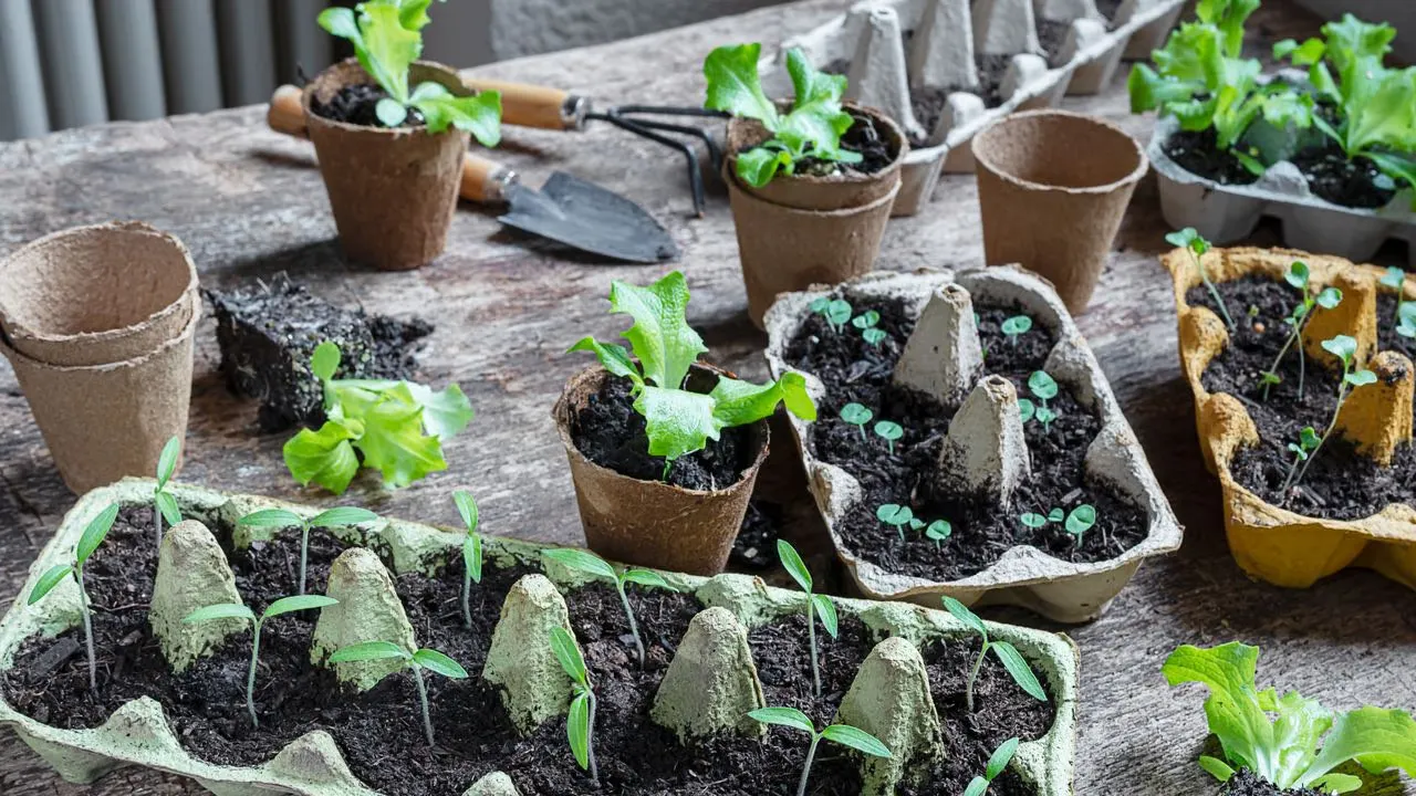 Green Packaging Solutions: Sustainable Packaging &amp; Alternatives