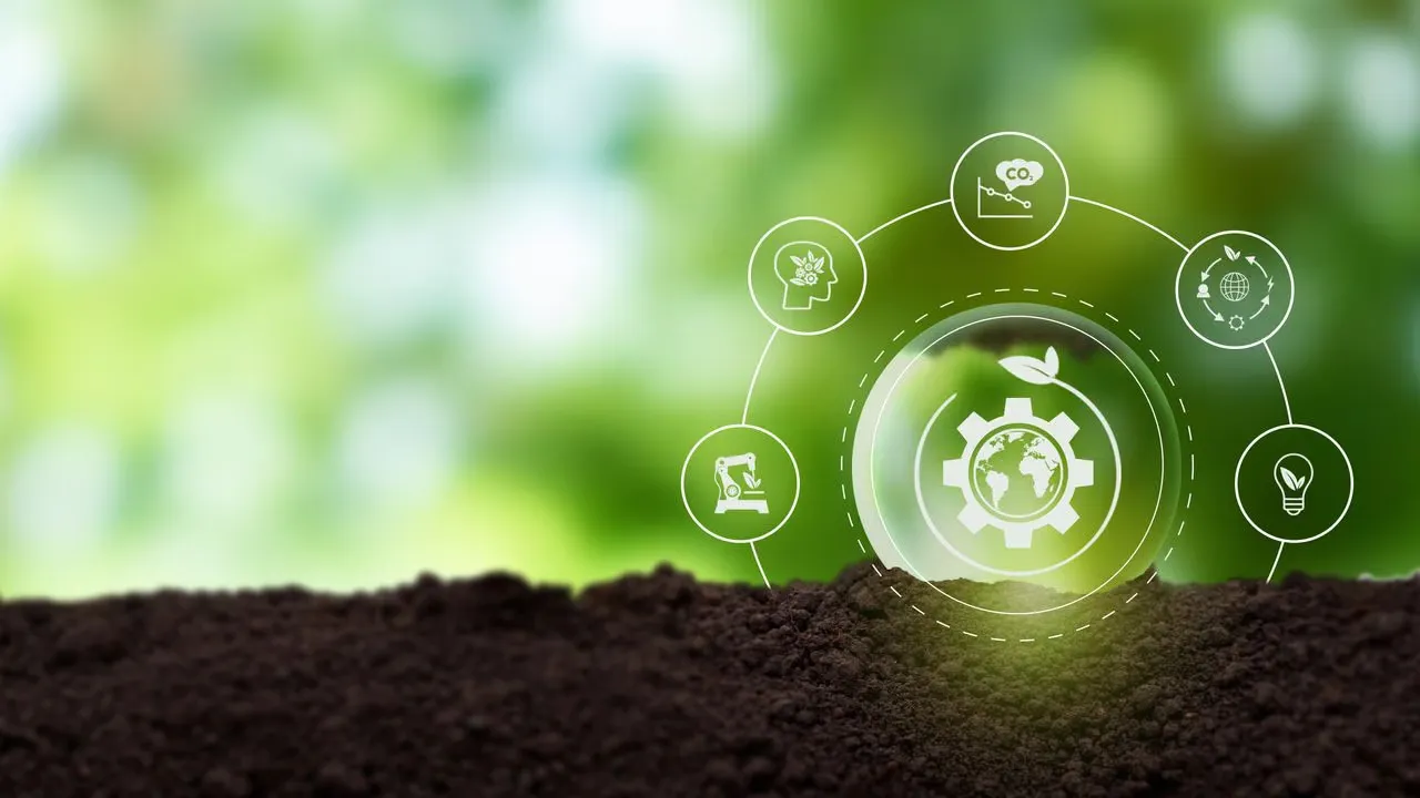 Recycling and Waste Management: Waste Sorting, Reduction, and Metal Recycling